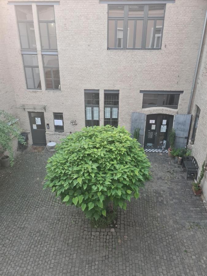 Loftapartment Im Historischen Fabrikambiente Geisenheim Bagian luar foto